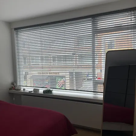 Fully Renovated Next To Markthall